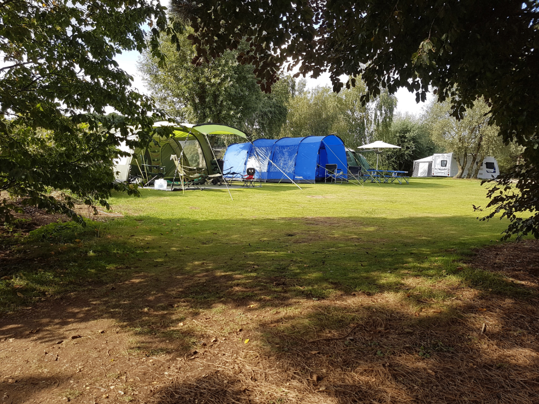 Tents pitched in the beautiful meadow at Huntingdon Boathaven
